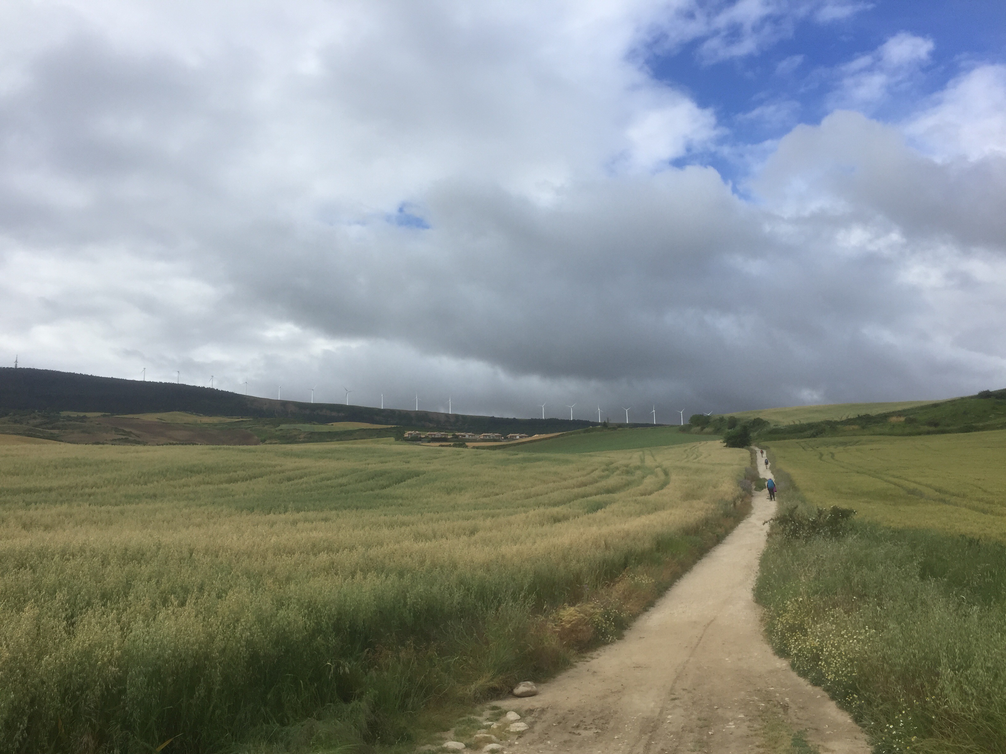 Camino Day 4: Pamplona – Mañeru